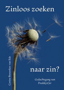 Zinloos zoeken naar zin?