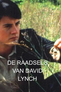 De Raadsels van David Lynch