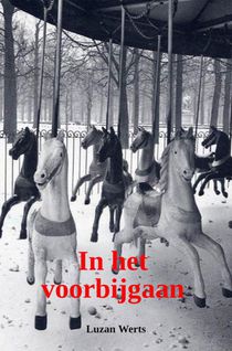 in het voorbijgaan