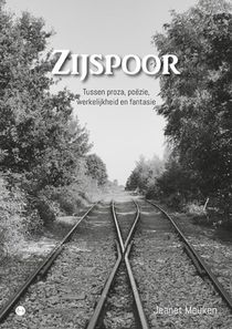 Zijspoor