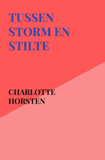 Tussen Storm en Stilte