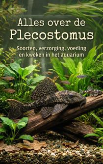 Alles over de Plecostomus