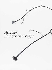 Hybriden voorzijde