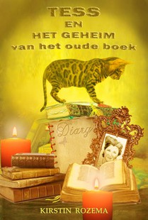 Tess en het geheim van het oude boek