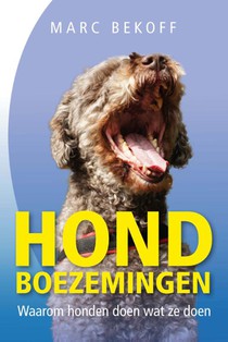 Hondboezemingen voorzijde