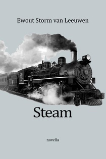 Steam voorzijde