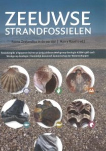 Zeeuwse strandfossielen voorzijde