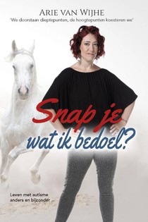 Snap je wat ik bedoel? voorzijde