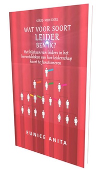 Wat voor soort leider ben IK?