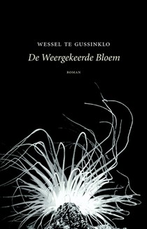 De weergekeerde bloem