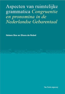 Aspecten van ruimtelijke grammatica