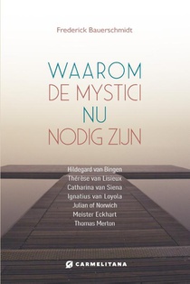Waarom de mystici nu van belang zijn