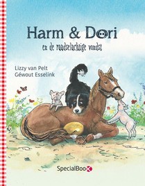 Harm & Dori en de raadselachtige vondst voorzijde