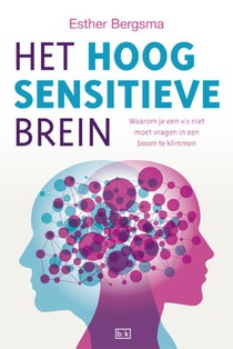 Het hoogsensitieve brein voorzijde