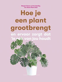 Hoe je een plant grootbrengt voorzijde