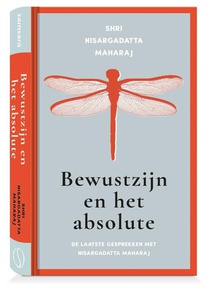 Bewustzijn en het absolute voorzijde