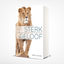 Sterk geloof voorzijde