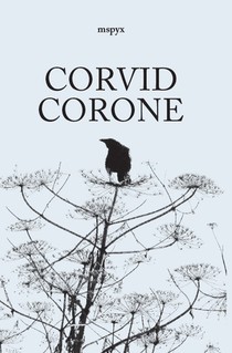 Corvid Corone voorzijde