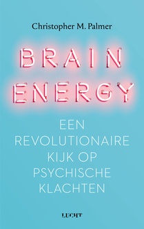 Brain Energy