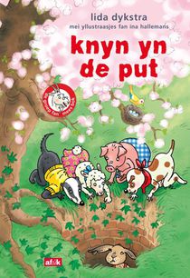 knyn yn de put