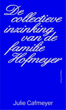 De collectieve inzinking van de familie Hofmeyer voorzijde