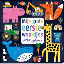 Mijn grote eerste woordjes uitklapboek