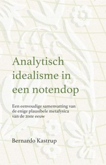 Analytisch idealisme in een notendop voorzijde