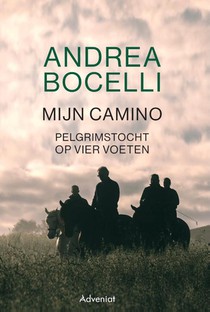 Mijn Camino