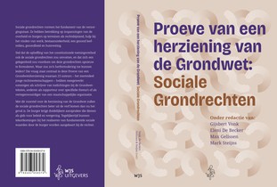 Proeve van een herziening van de Grondwet: Sociale Grondrechten