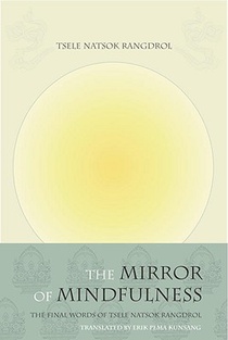 The Mirror of Mindfulness voorzijde