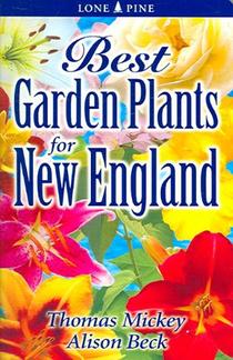 Best Garden Plants for New England