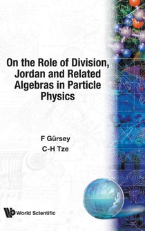 On The Role Of Division, Jordan And Related Algebras In Particle Physics