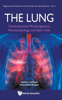 Lung, The: Developmental Morphogenesis, Mechanobiology, And Stem Cells