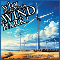 Why there exists a Wind Park?