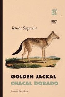 Sequeira, J: Golden Jackal / Chacal Dorado