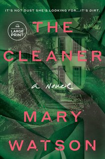 The Cleaner