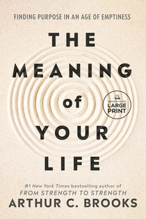 The Meaning of Your Life: Finding Purpose in an Age of Emptiness