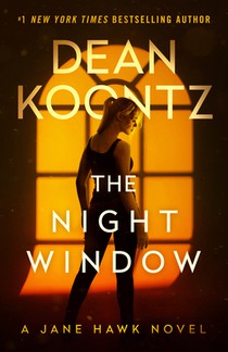 Night Window