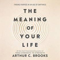 The Meaning of Your Life: Finding Purpose in an Age of Emptiness