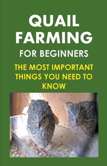 Quail Farming For Beginners
