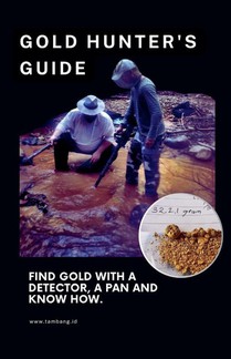 The Gold Hunter's Guide