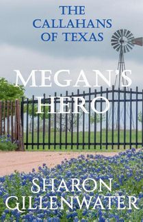Megan's Hero