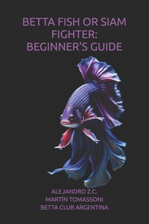 Betta Fish or Siam Fighter: Beginner's Guide