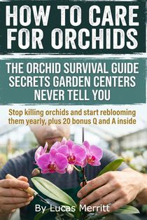 How to Care For Orchids: Secrets I Learned Rescuing Mushy Roots and Droopy Leaves, Practical humidity tricks, and exact watering tests that help begin