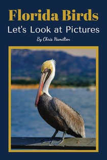 Florida Birds: Let's Look at Pictures
