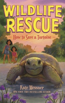 How to Save a Tortoise
