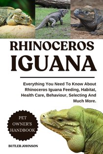Rhinoceros Iguana: Everything You Need To Know About Rhinoceros Iguana Feeding, Habitat, Health Care, Behaviour, Selecting And Much More.
