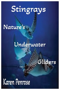 Stingrays: Nature's Underwater Gliders: A Kid's Guide to Stingrays /Marine Life and Biology / Ocean Animals and Conservation / Science / Educational
