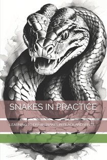 Snakes in Practice: Learning to Draw Snakes in Black and White