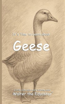 It's Time to Learn about Geese